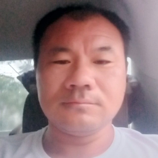 大雁清脆的照片