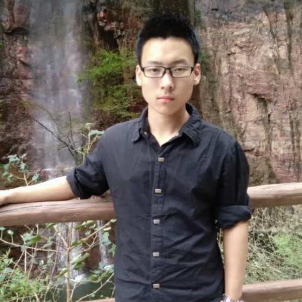 魁梧邂逅小海豚的照片