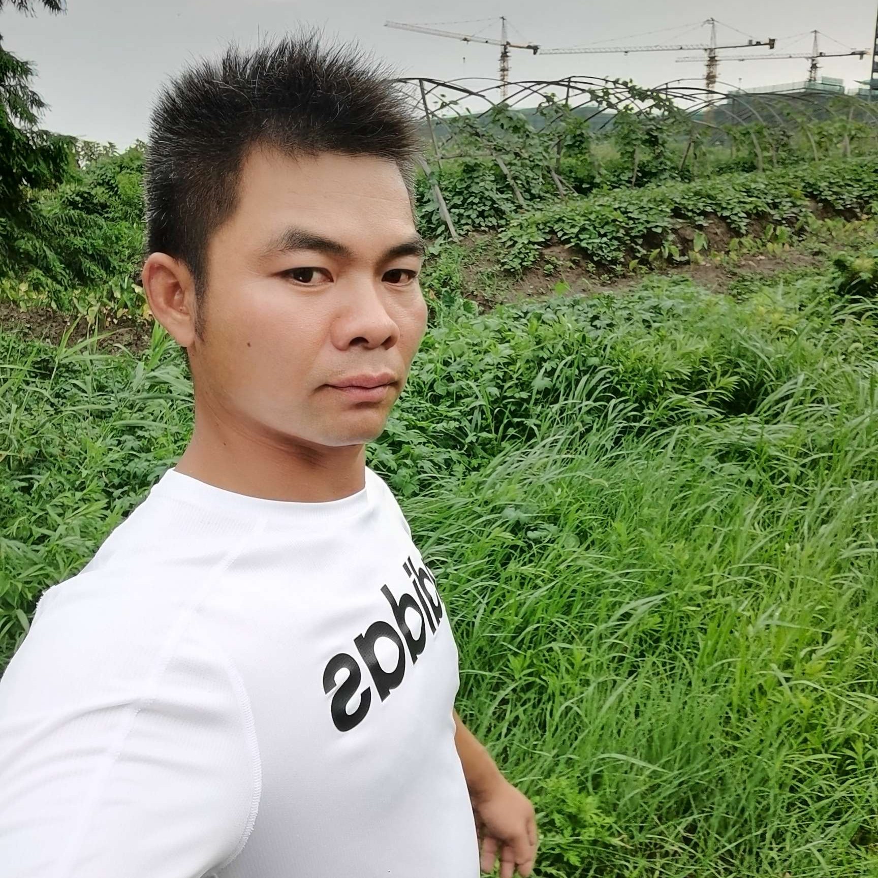 飞上天的的照片