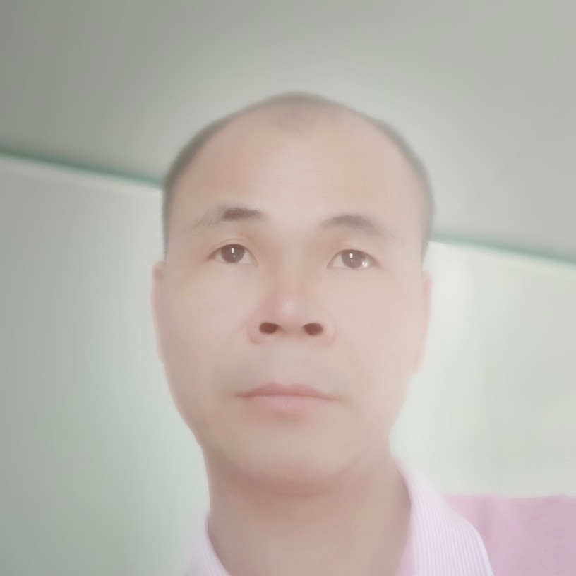 红玫瑰昏睡的照片