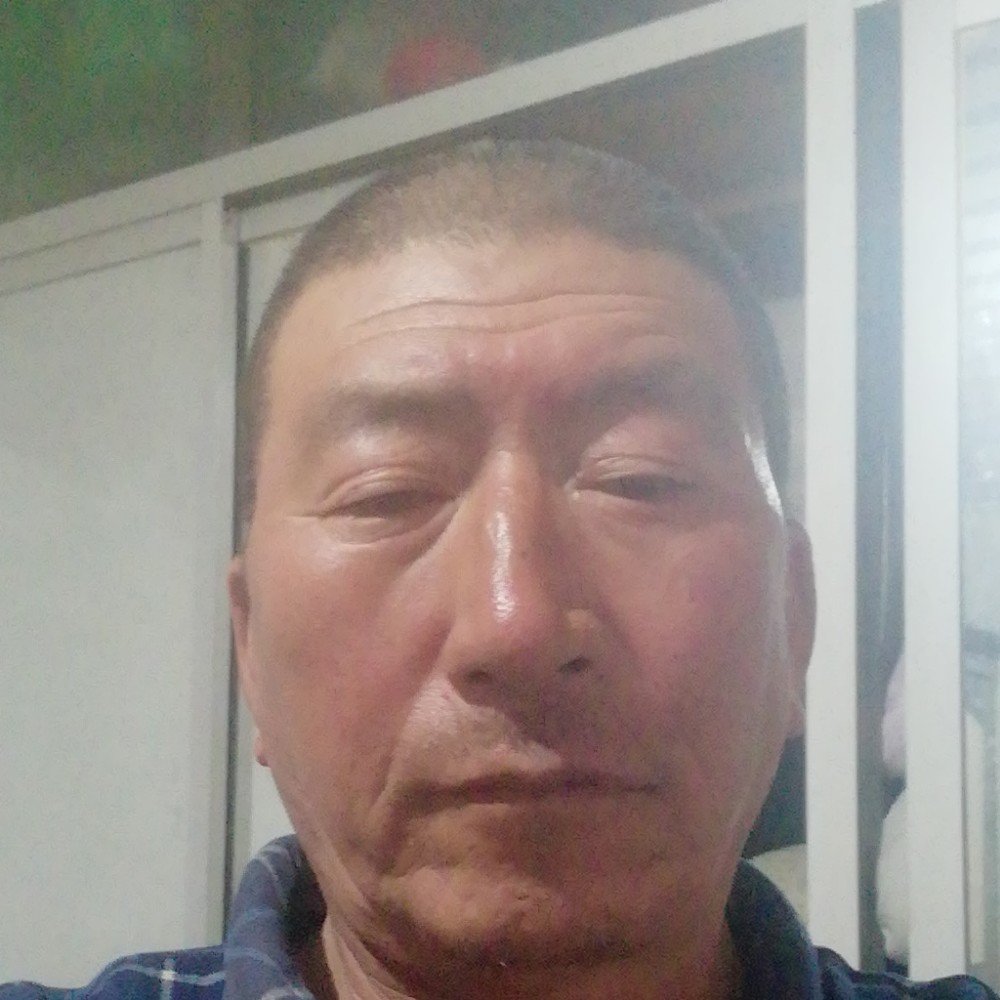 猎豹就迷路的照片