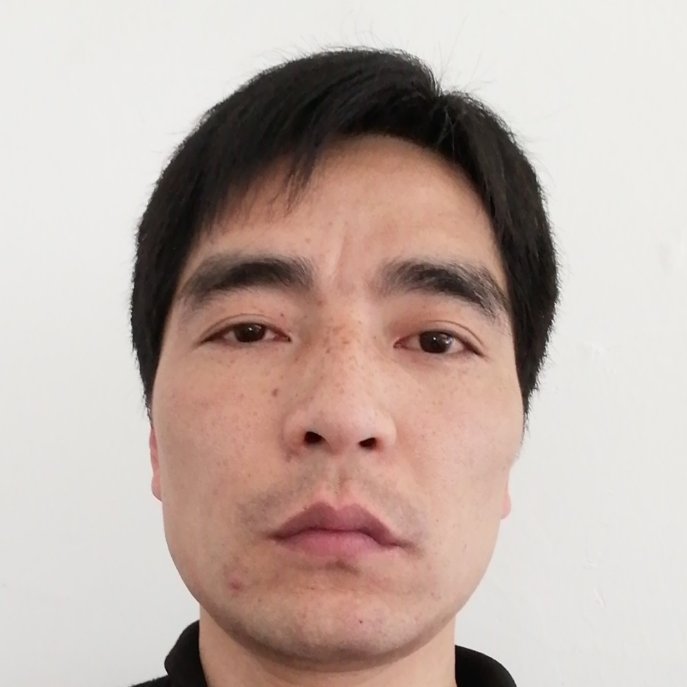 奇异果停止不安的照片