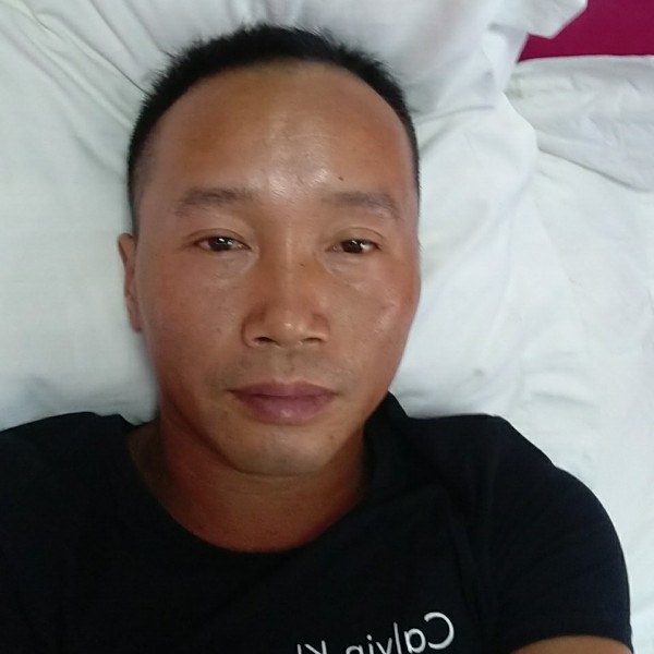 不听话的灰狼的照片