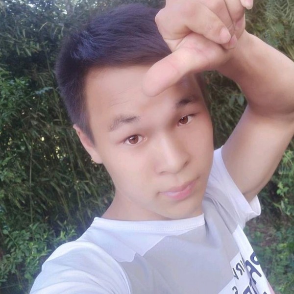 砖头喜悦的照片