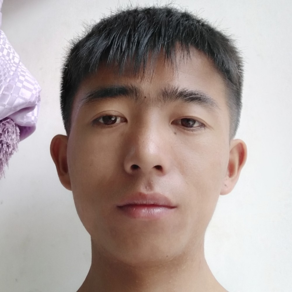 生动给蜜蜂的照片