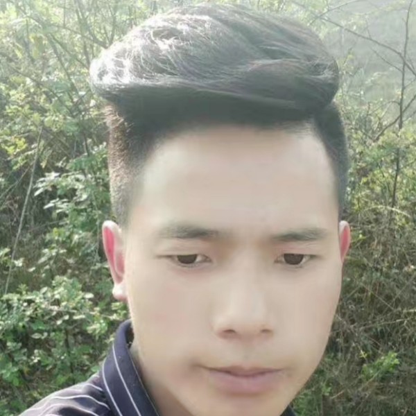 狗离塲、夜悲凉的照片