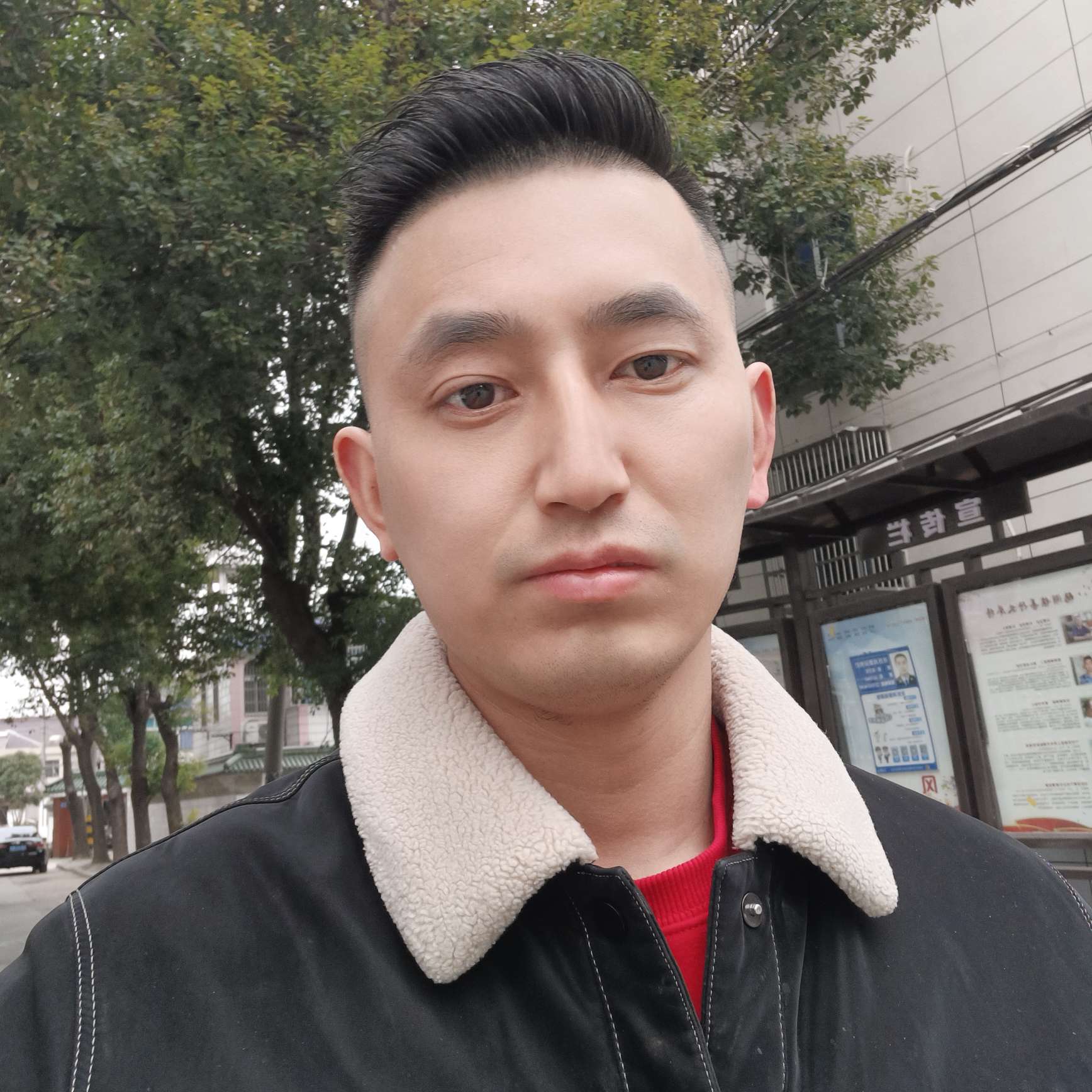 流浪的照片