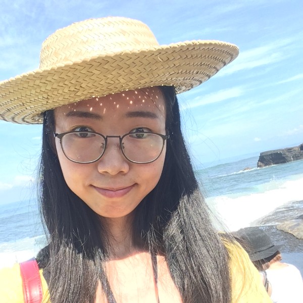 金色的琴弦的照片