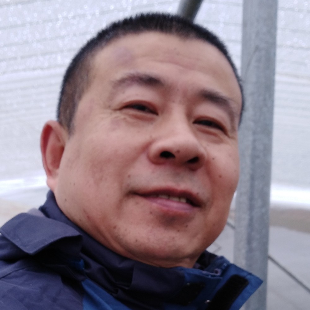 遥远的海的照片