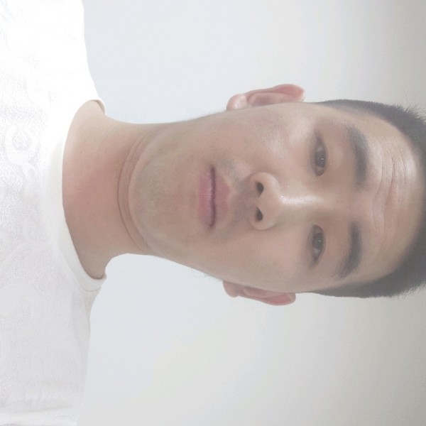 淡然向发夹的照片