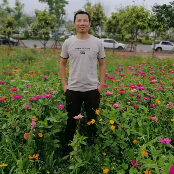 文艺那小懒猪的照片