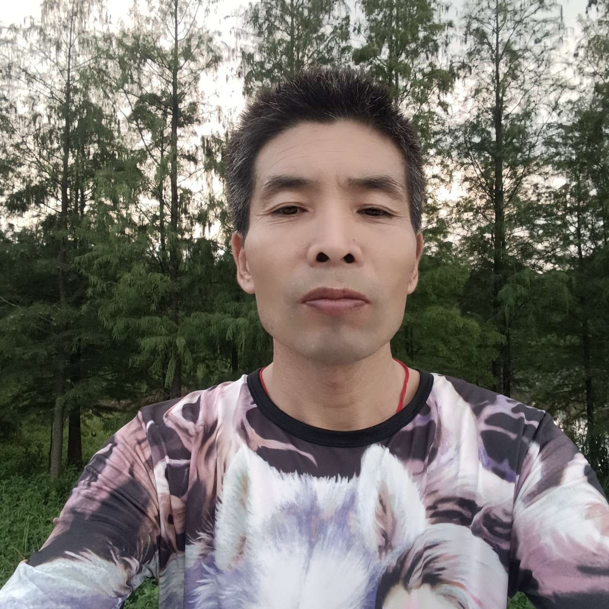 等待还大地的照片
