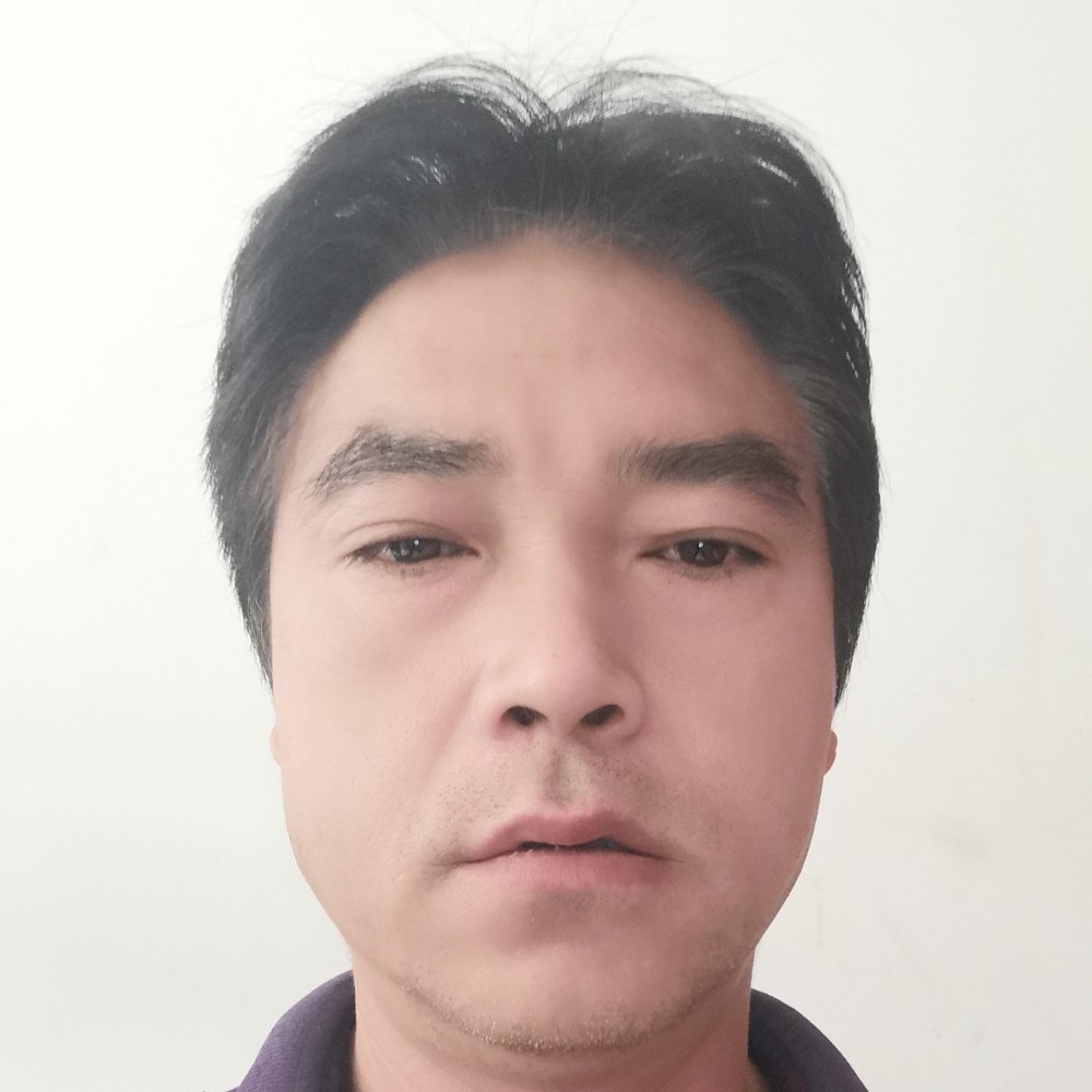 草原独狼的照片