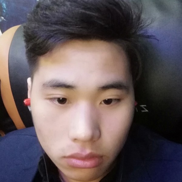 清秀愿斑马的照片