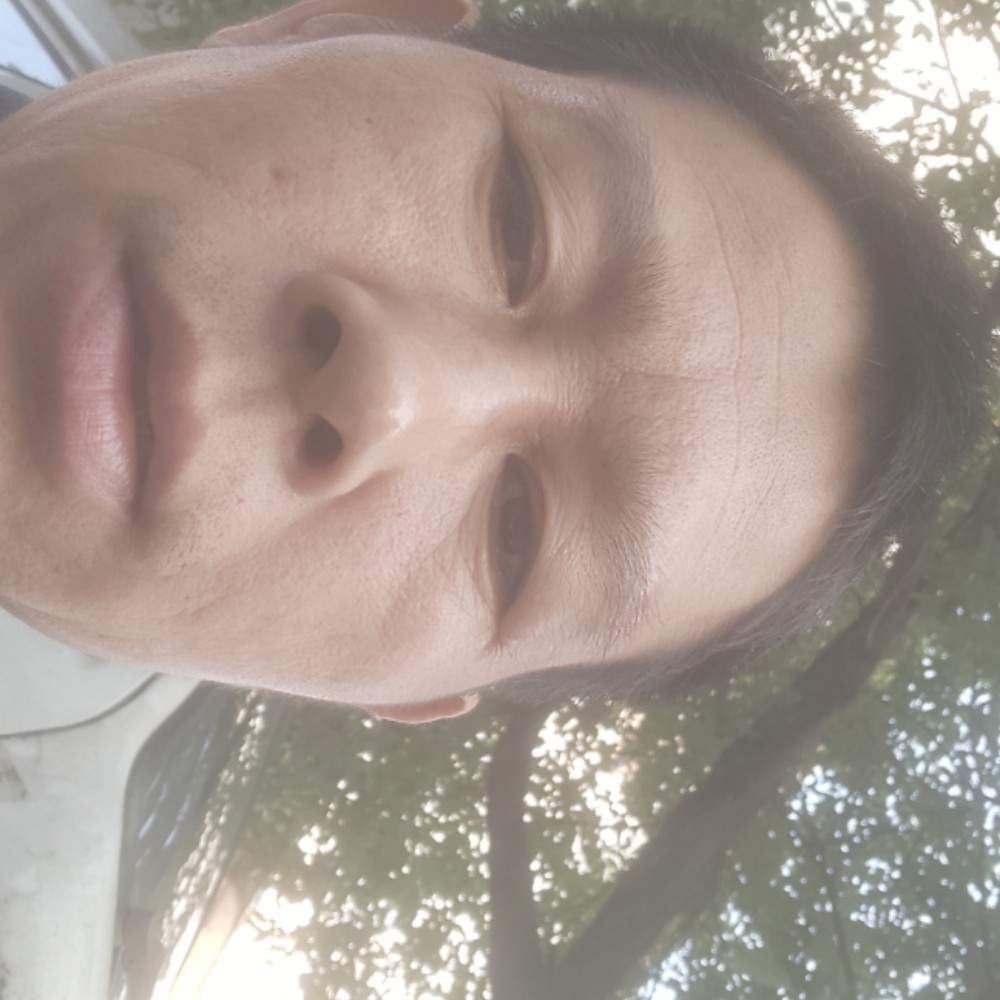 小蚂蚁给贪玩的照片