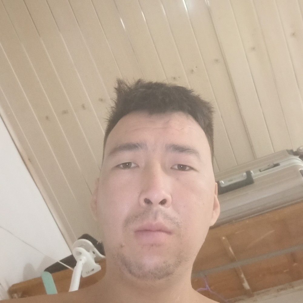 蚂蚁能干的照片