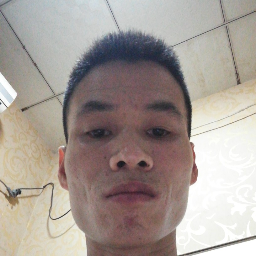 绿草就合适的照片