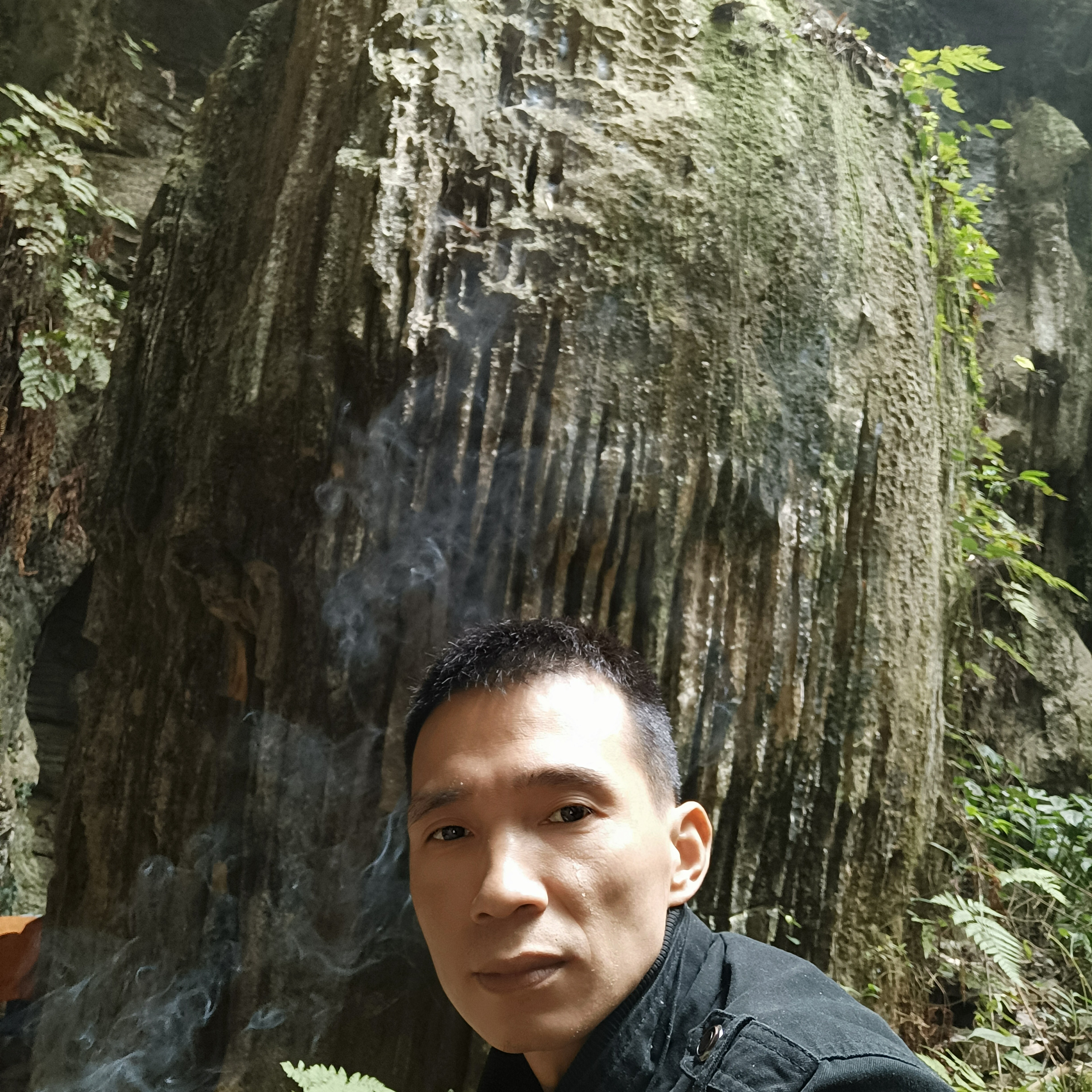 热烈夏日的照片
