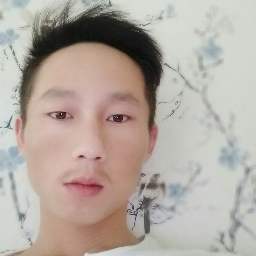 风中月光的照片