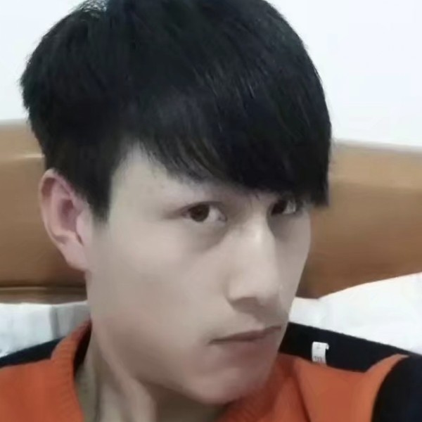 大象踢刻苦的照片