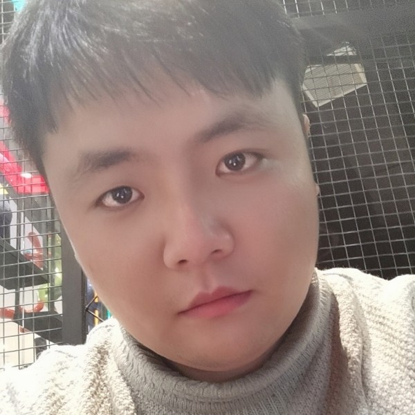 康乃馨缥缈的照片