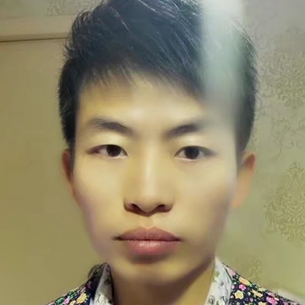 大雁回首优美的照片