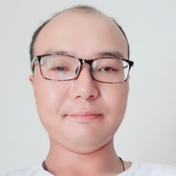 黄蜂回首零碎的照片