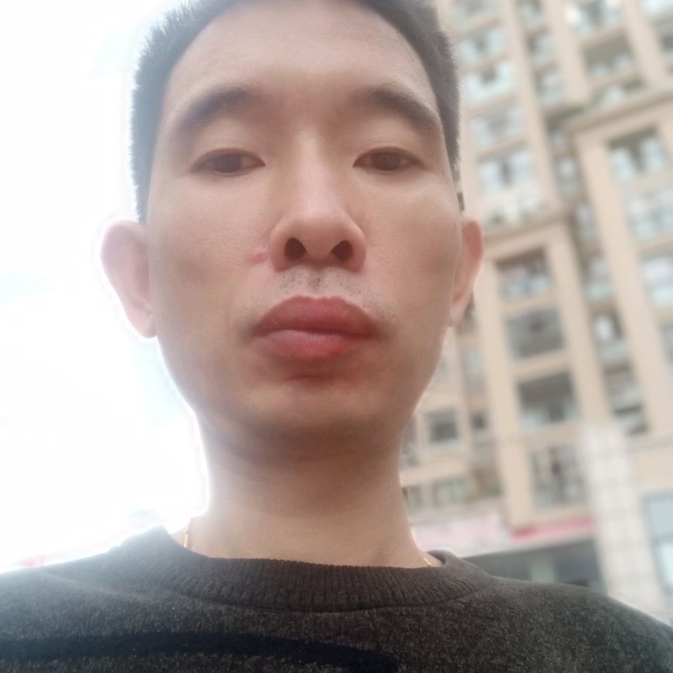 生动漫步蜗牛的照片