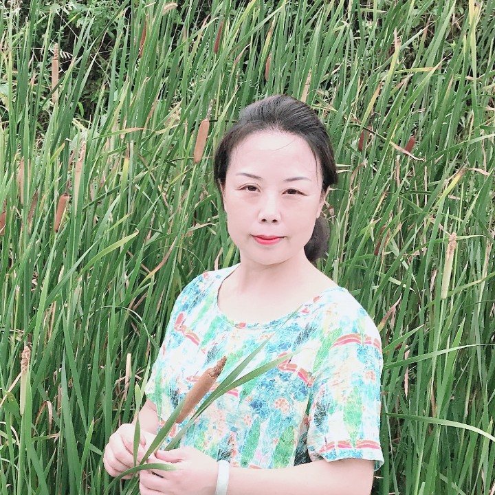 平湖端庄的照片