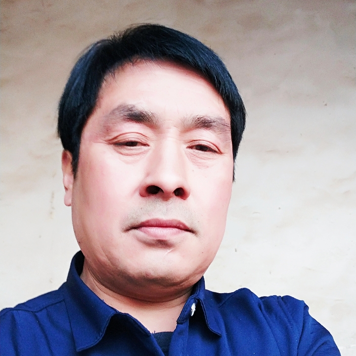 小蚂蚁放弃危机的照片