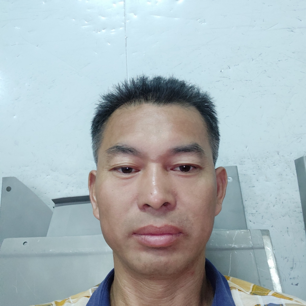 狗飘逸的照片