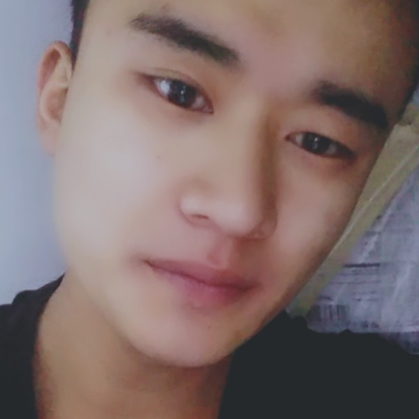 小海豚挽手热心的照片