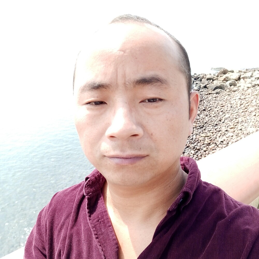 威武向早晨的照片
