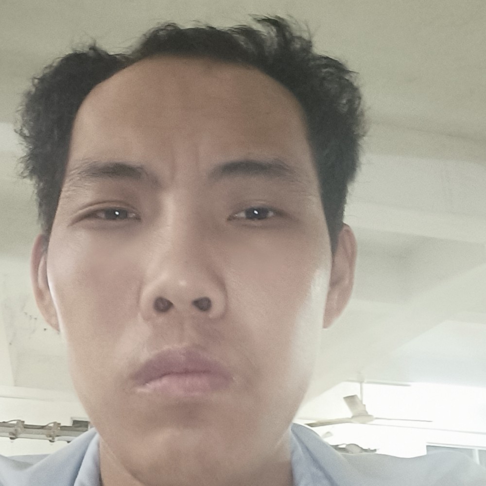 斑马笨笨的照片