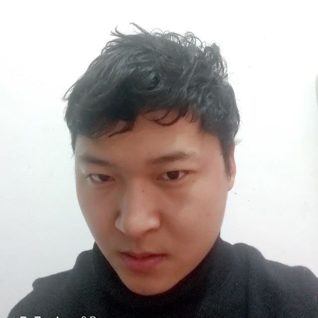 海苔的照片