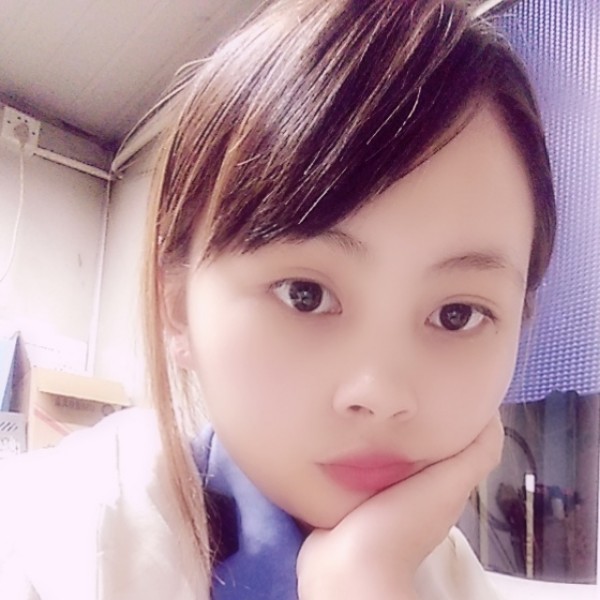 活力猫咪的照片