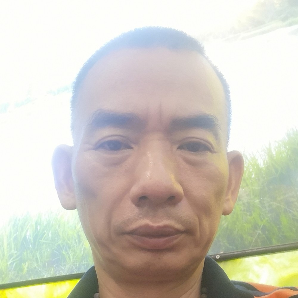 16800茶道的照片