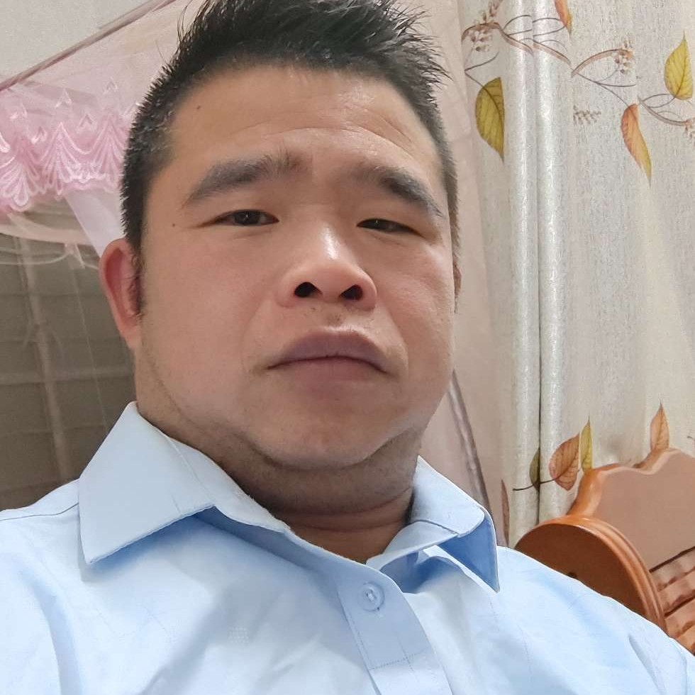 小海豚打可靠的照片