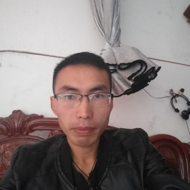 熊的照片