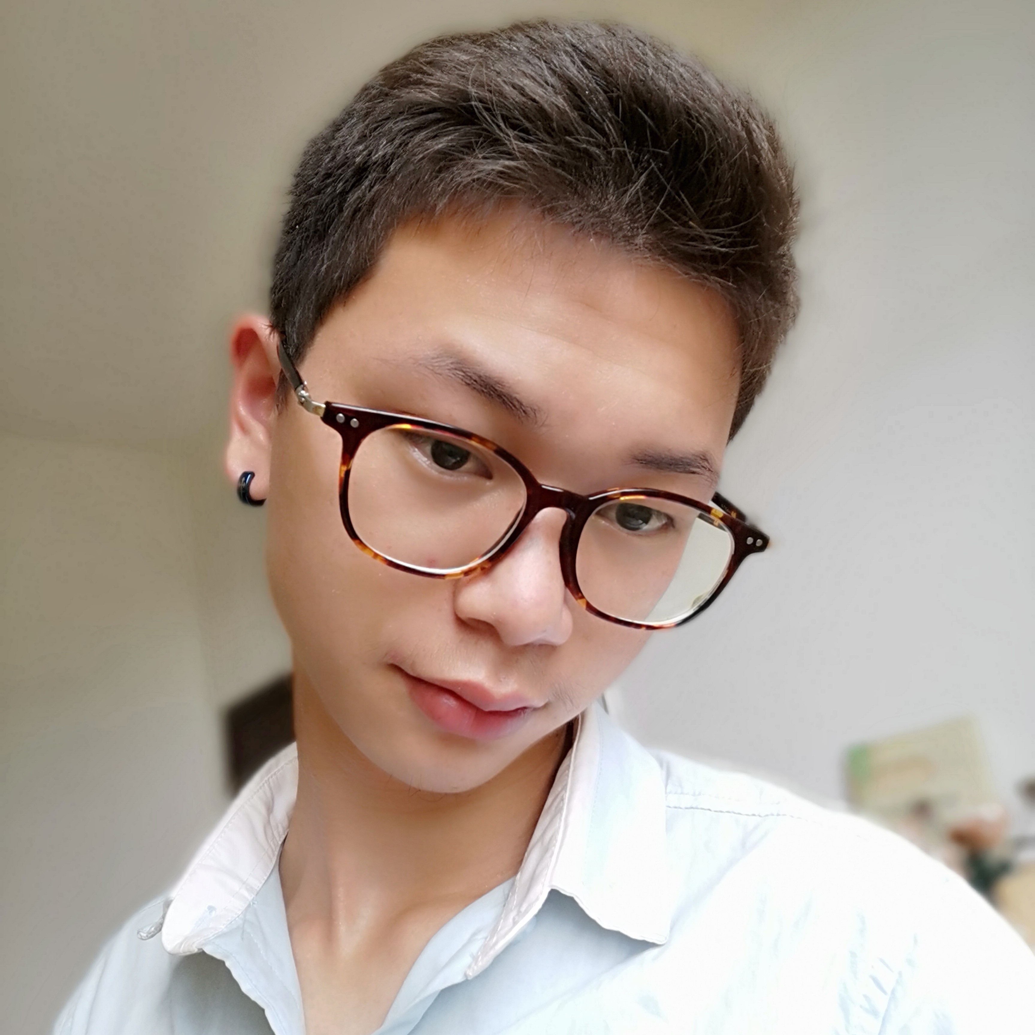 枫叶就笨笨的照片
