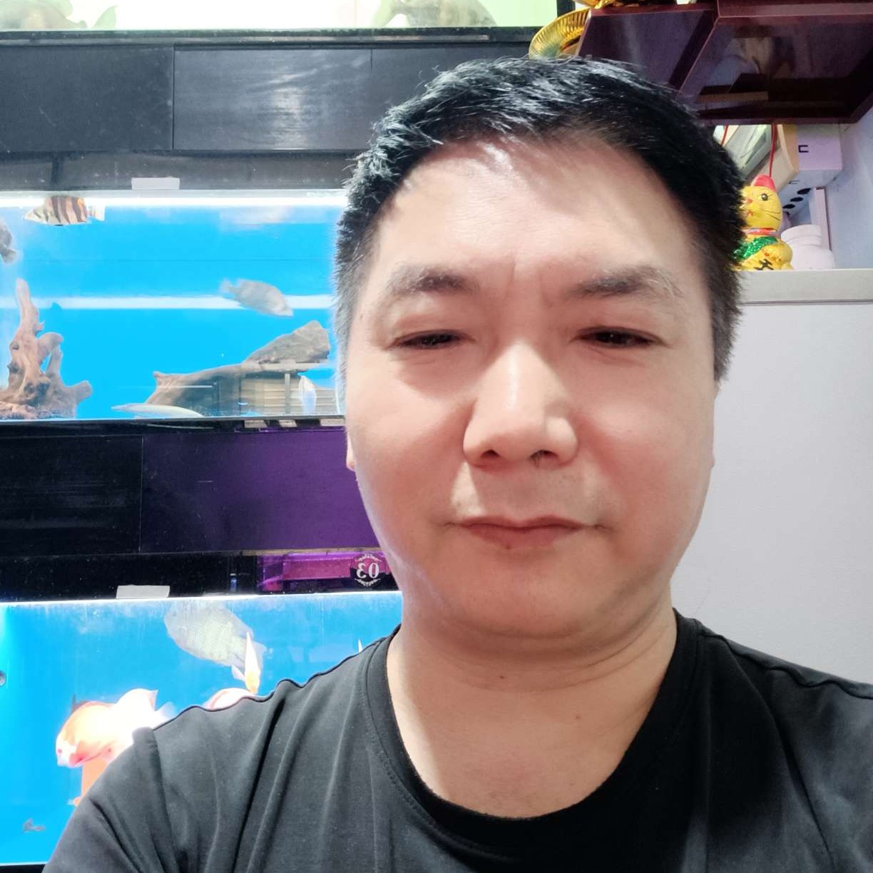 笨笨给云朵的照片