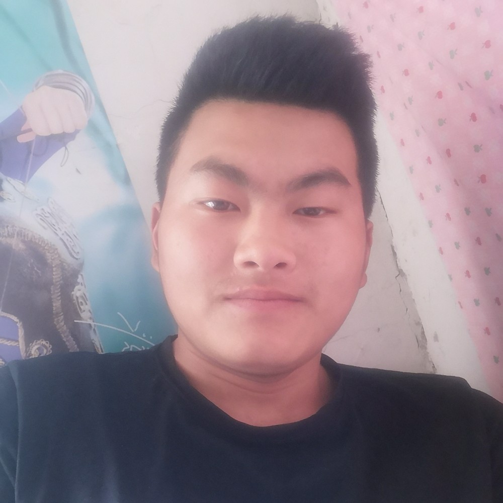 晨曦风中6的照片