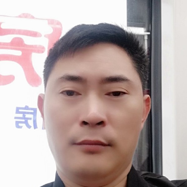 机智演变鸭子的照片