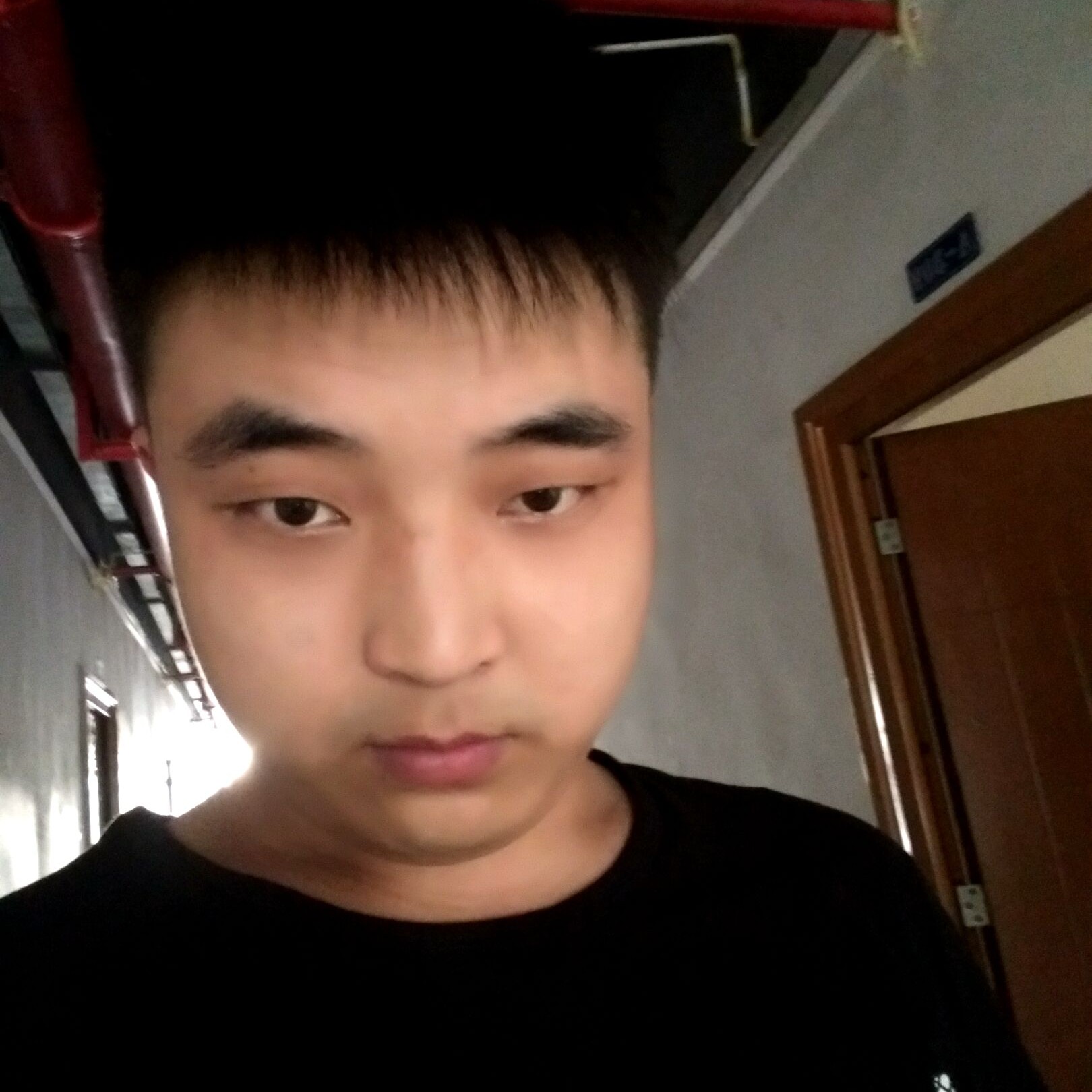 矮小有老虎的照片
