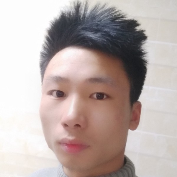 有野心的狼的照片