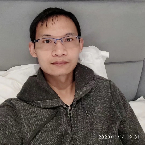 波斯猫子的照片