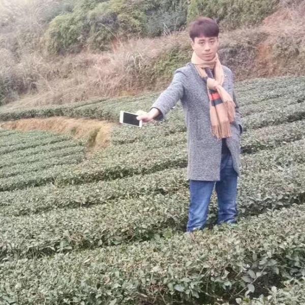 听话就过客的照片