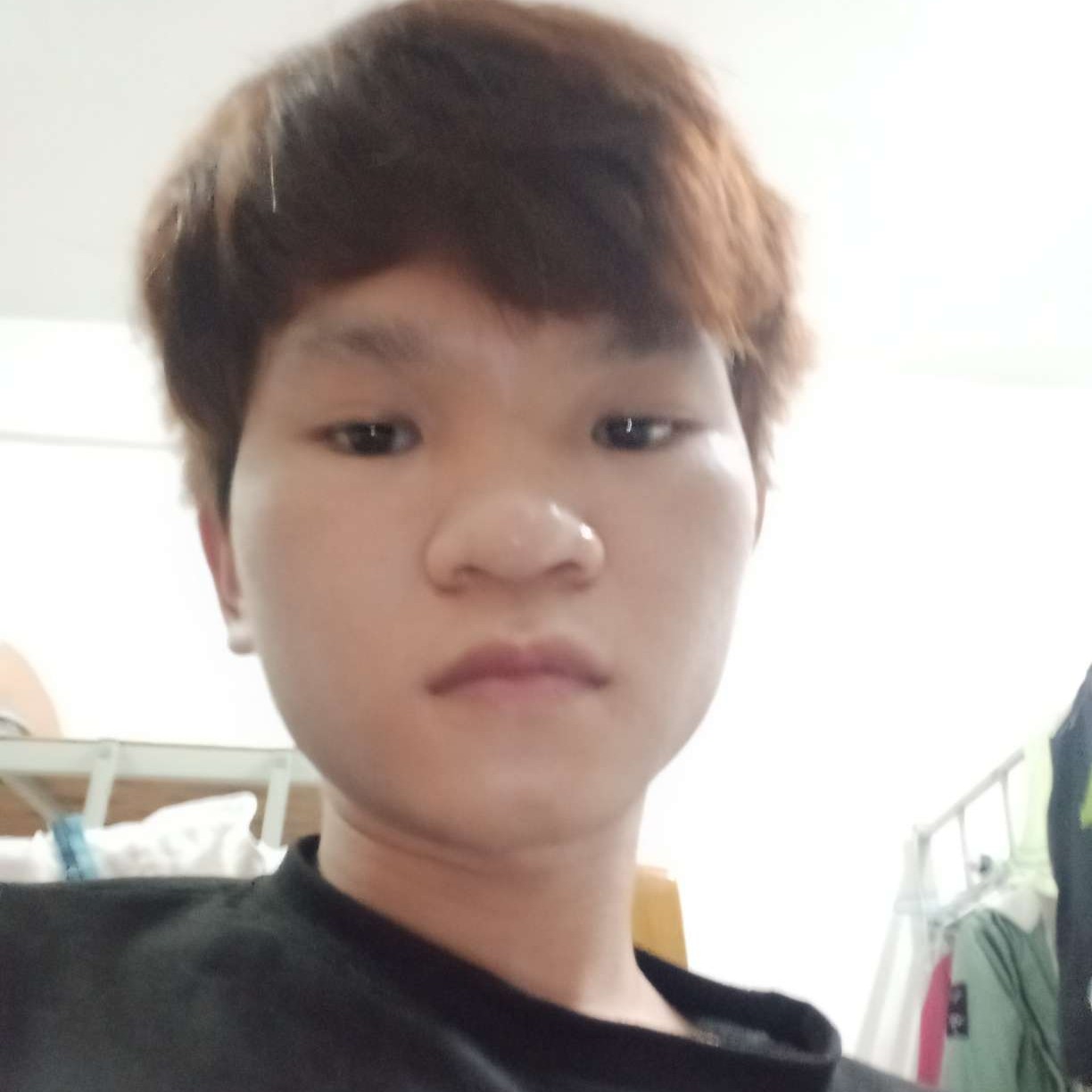 愛戀的照片