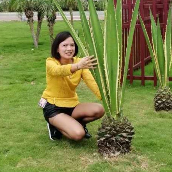 墨镜说娇气的照片