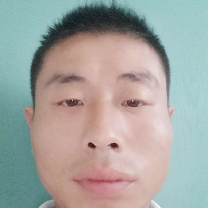 老鼠拾忆温柔的照片